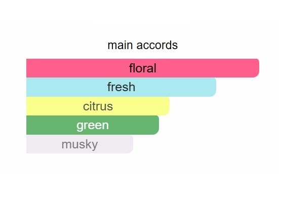 E'CLAT D'ARPEGE UNIQUE PERFUME - Image 2