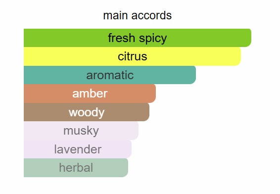 SAUVAGE COOL UNIQUE PERFUME - Image 2