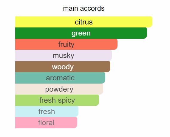 SILVER MOUNTAIN WATER UNIQUE PERFUME - Image 2